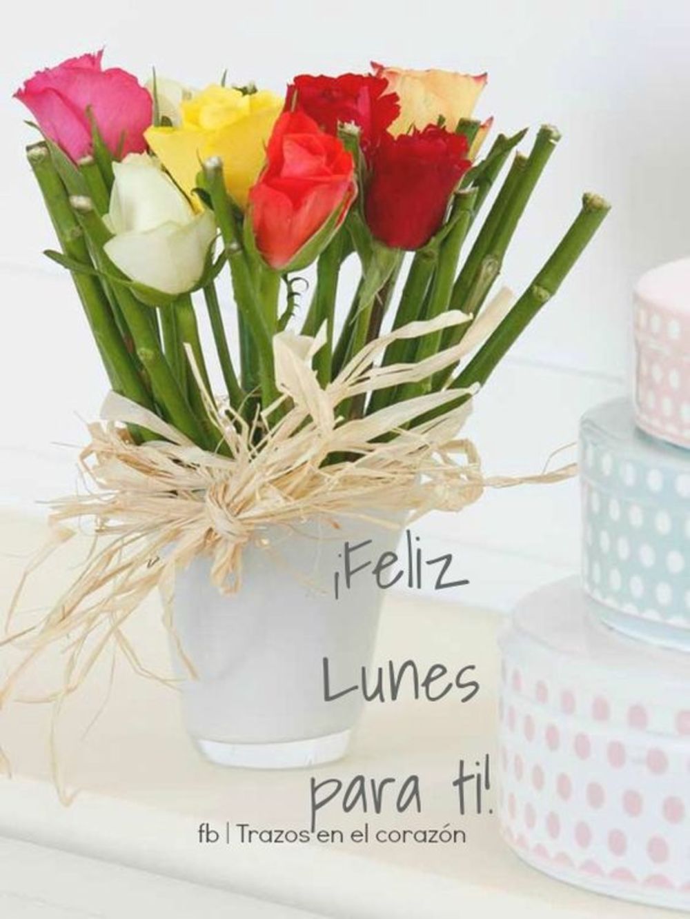 Feliz Lunes imágenes bonitas para WhatsApp - Página 3 de 11 -  