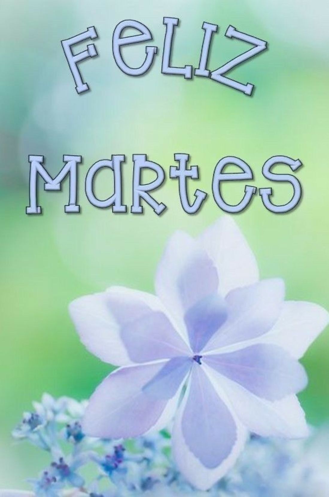 Feliz Martes bellas imágenes y frases - Página 2 de 10 ...