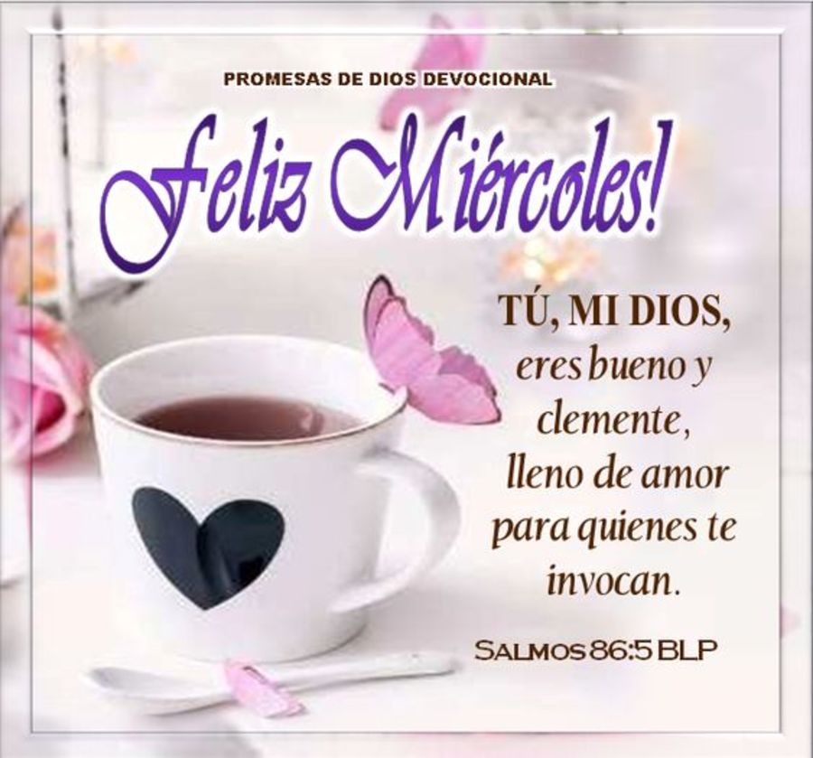 Feliz Miercoles Dios Te Bendiga Willsccommonplacebook