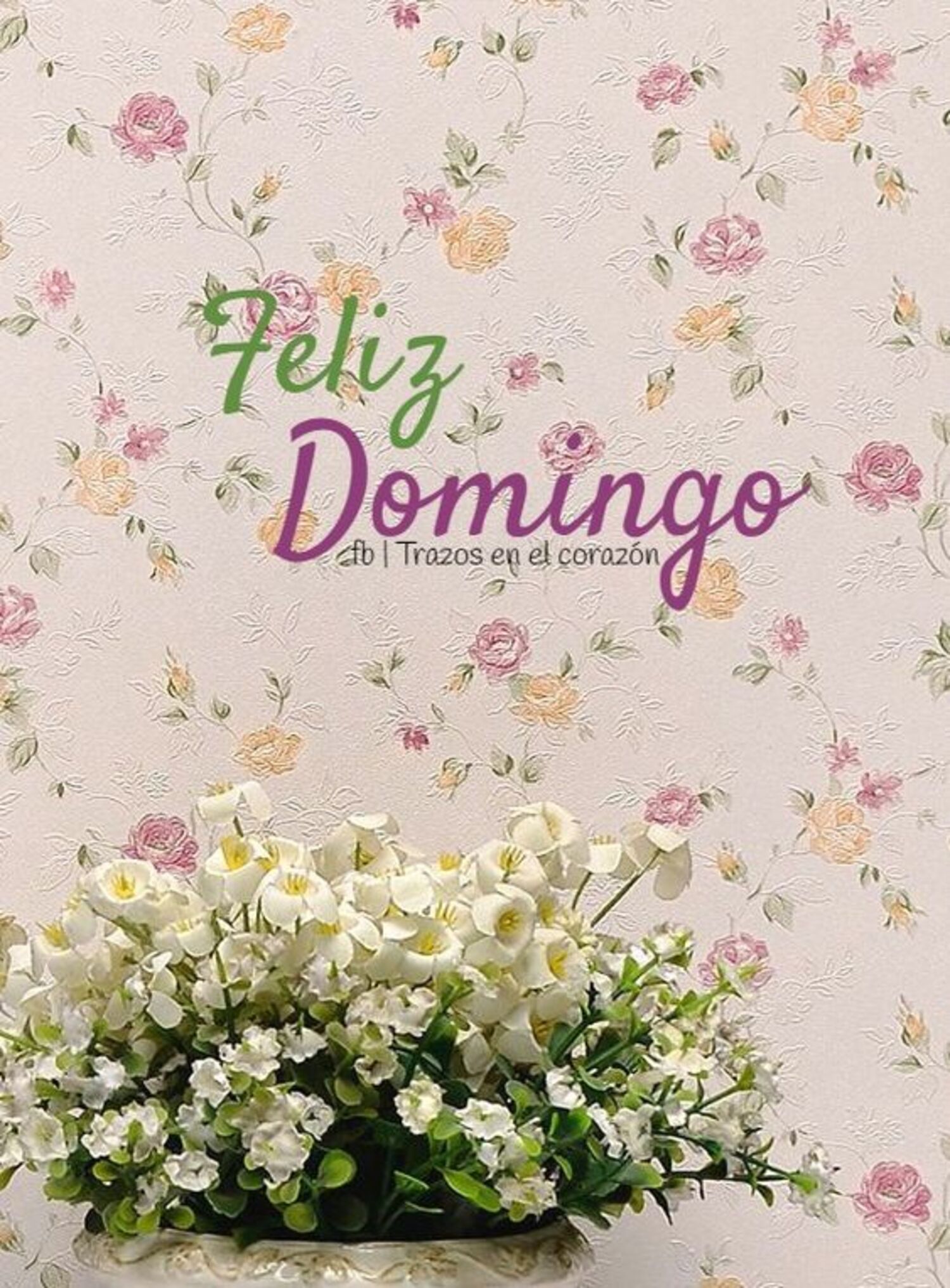 Imágenes lindas de Feliz Domingo para WhatsApp - Página 5 de 10